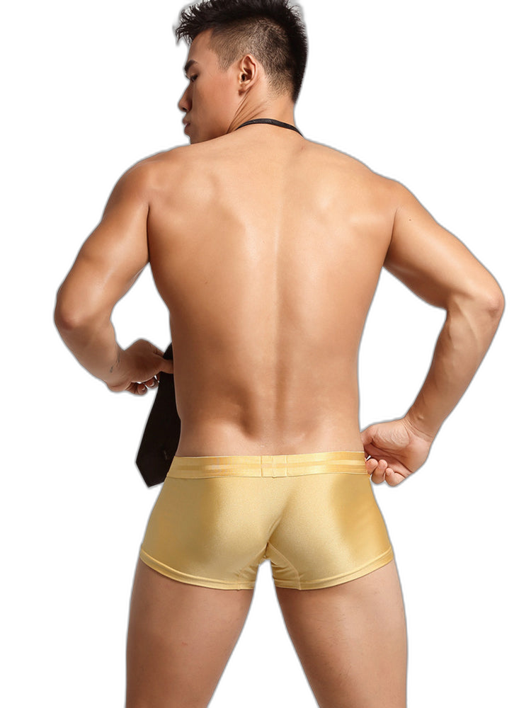 2 Pack Men’s Lustrous Metallic Trunks