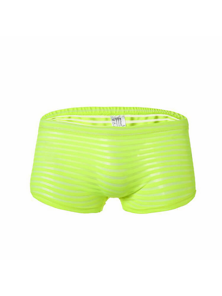 Men's Striped Mesh See-Through Boxer Briefs