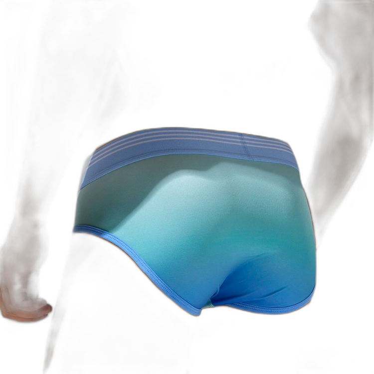 SEOBEAN Ombre Luxe Boxer Shorts
