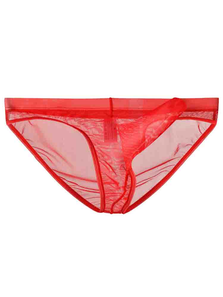 Men's Elephant Trunk Transparent Mesh Briefs