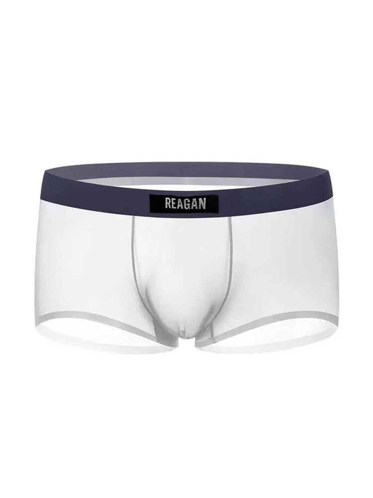 Men's Sexy See-Through Solid Color Boxer Briefs
