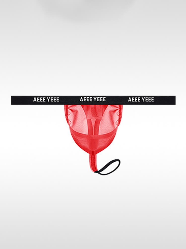 Men's Sexy Sheer Scrotal Support & Lifting Thong