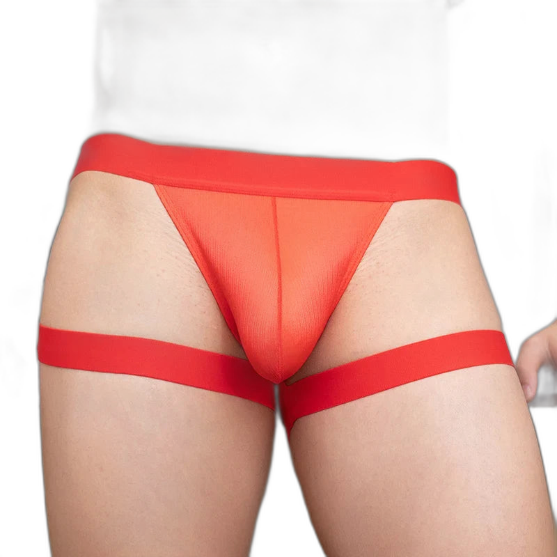 BoldGarter Men's Lingerie Briefs