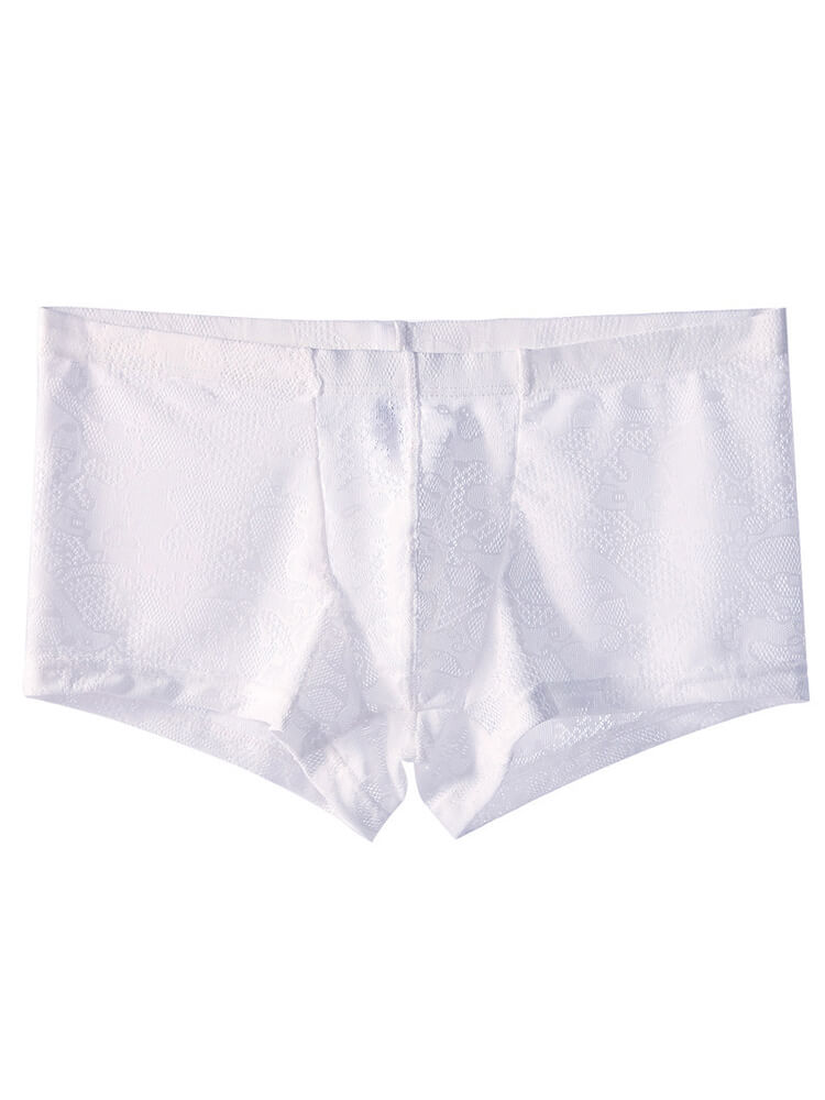 Men's Low-Rise Sexy Lace See-Through Boxer Briefs