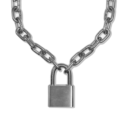 Heavy Stainless Steel Chain Collar