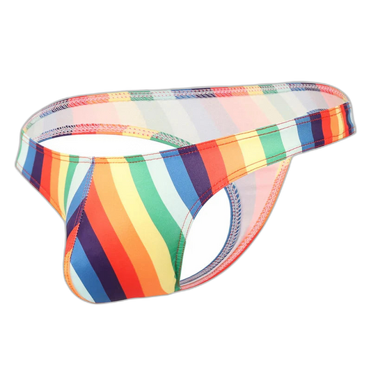 Retro Rainbow Low Rise Briefs