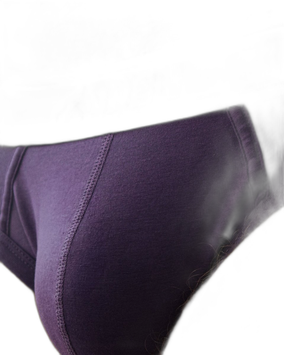 Den CORE Brief - Purple
