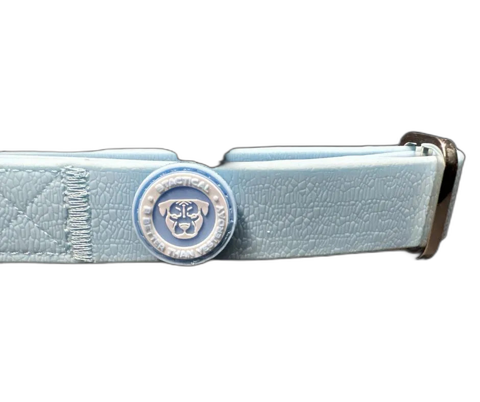 2.5cm Tactical Collar Blue (XS)