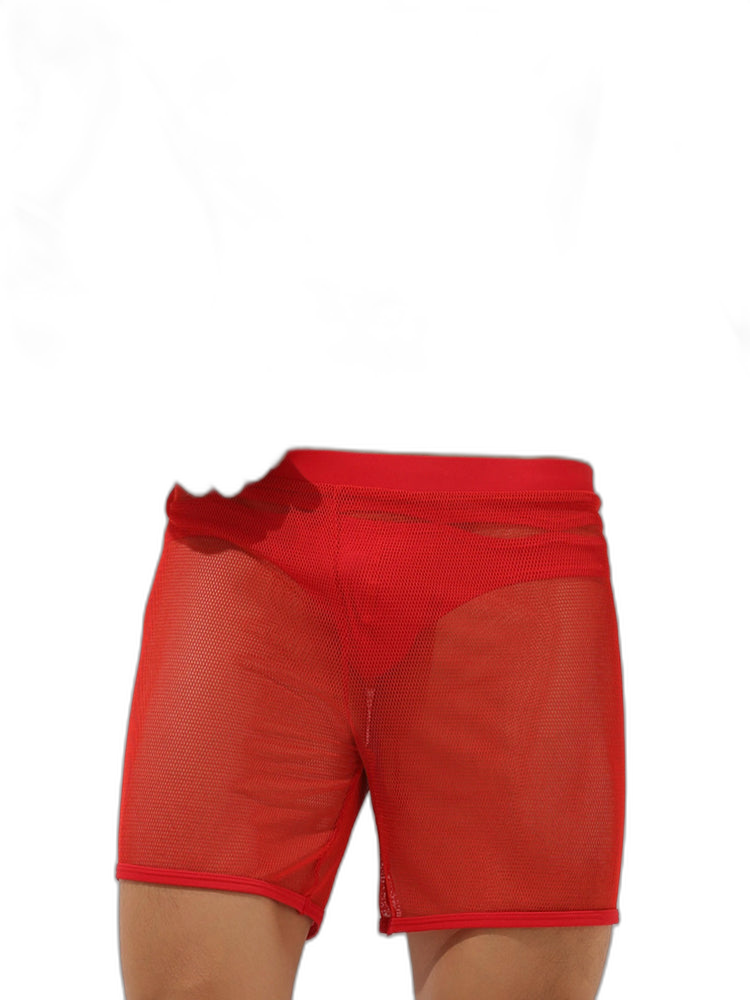 Men’s Sexy See Through Mesh Boxer Shorts