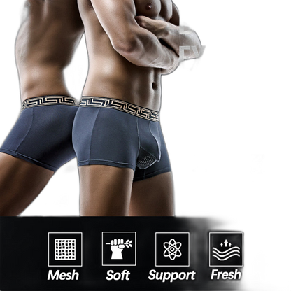 4 Pack Separate Ball Pouch Breathable Trunks