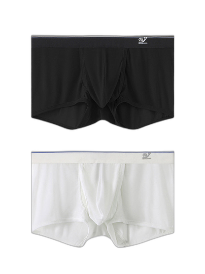 2 Pack Men's Breathable Mesh Trunks with Fly