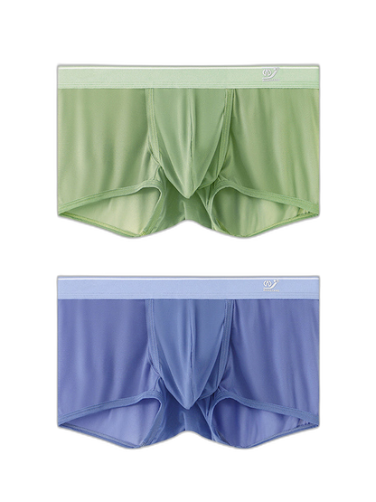 2 Pack Men's Breathable Mesh Trunks with Fly