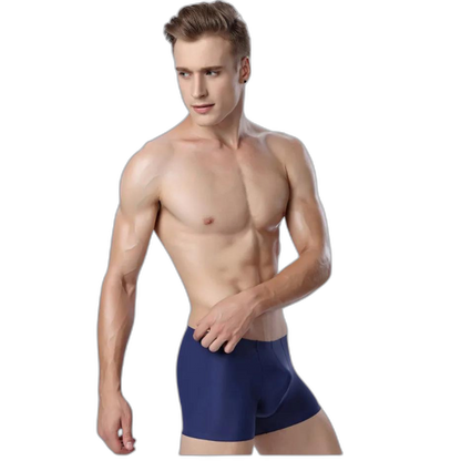 Ice Embrace Transparent Boxer Briefs (4 Pack)