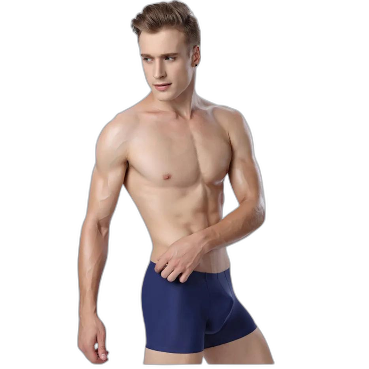 Ice Embrace Transparent Boxer Briefs (4 Pack)
