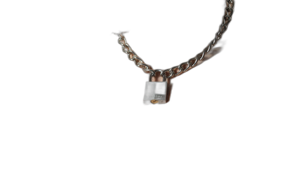 ruff GEAR Boxer Chain 3.6mm with 30mm Master Lock
