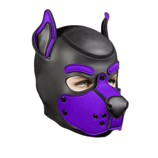 Mr S Leather Neoprene K9 Puppy Hood | Black/Purple