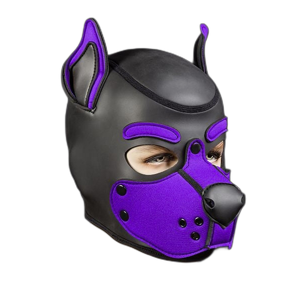 Mr S Leather Neoprene K9 Puppy Hood | Black/Purple