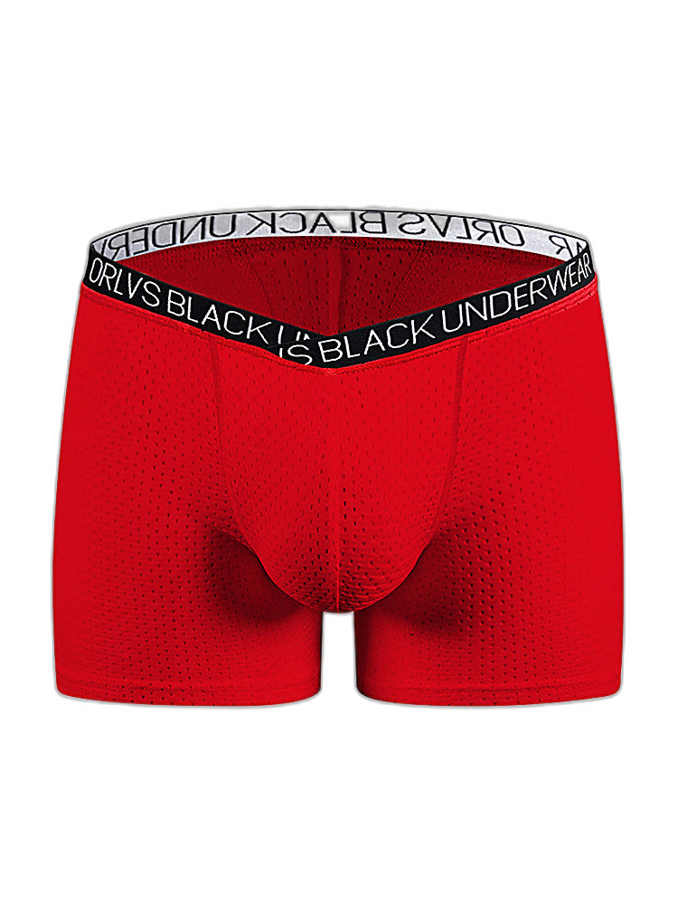 2 Pack Men's Sexy V-shape Waistband Mesh Trunks