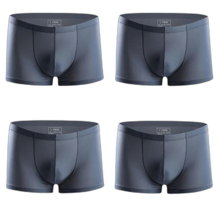 Ice Embrace Transparent Boxer Briefs (4 Pack)