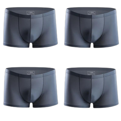 Ice Embrace Transparent Boxer Briefs (4 Pack)