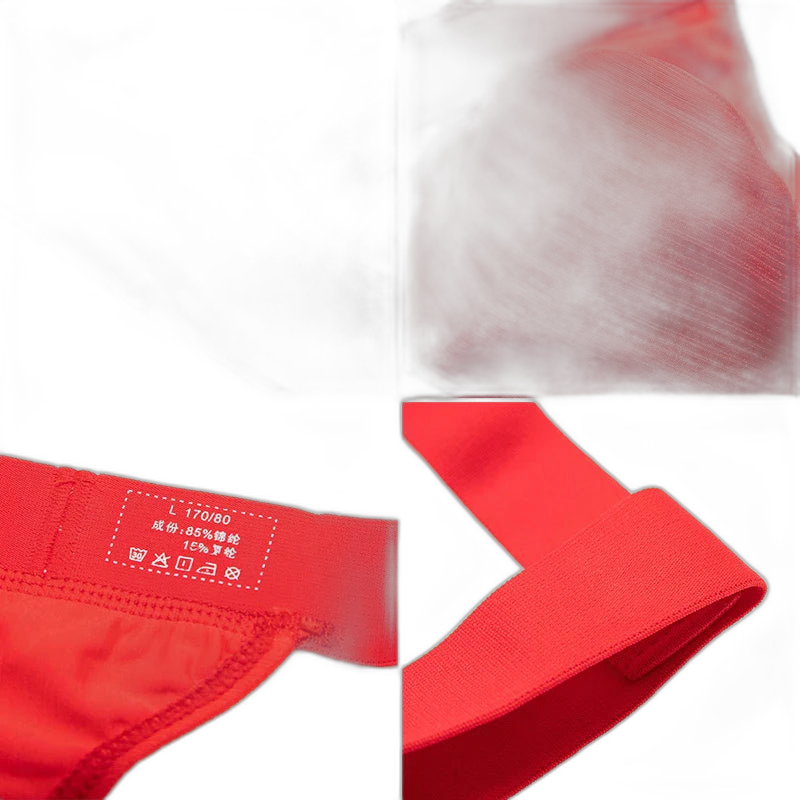 BoldGarter Men's Lingerie Briefs