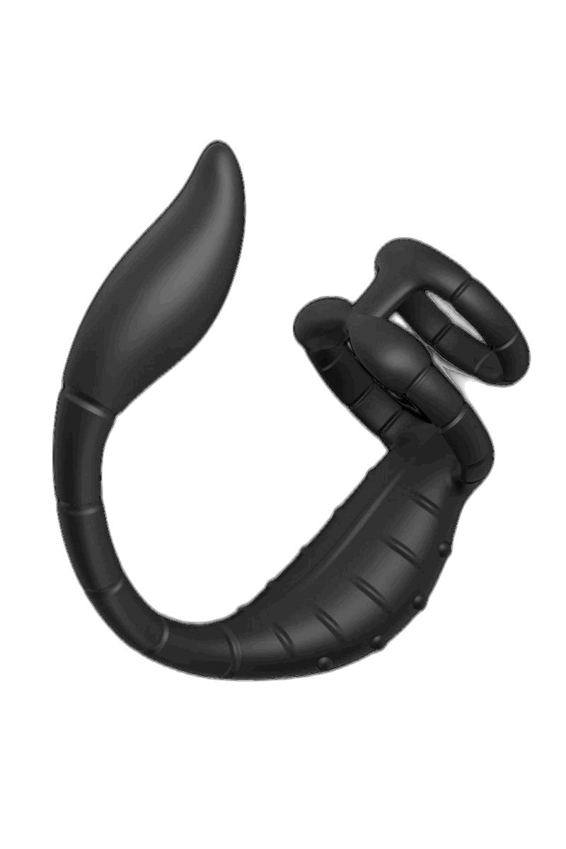 Prostate Massager Cock Ring