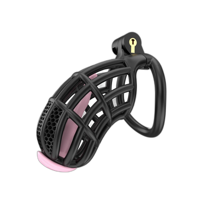Sentinel - Cock Cage with 5 Sizes & Colors