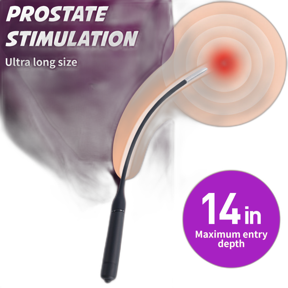 10-Speed Long Vibrating Urethral Sound