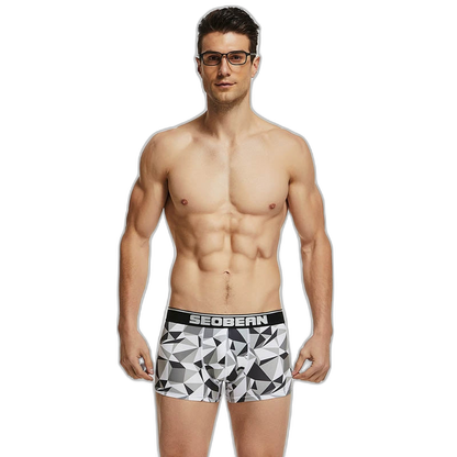 Seobean Geometric Boxers