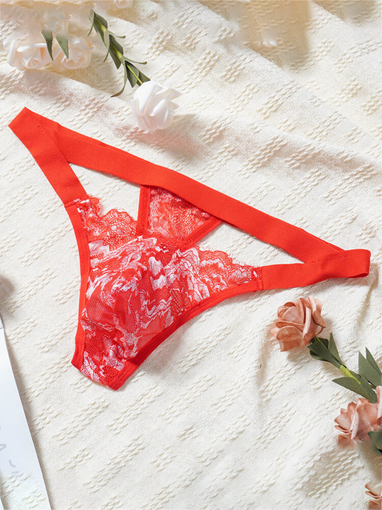 Men's Sexy Sheer Lace And Mesh Cutout Thong