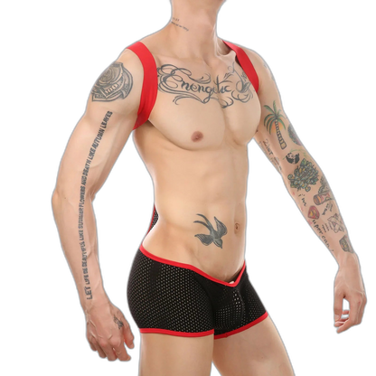 Kink Wrestling Dream Mesh Bodysuit