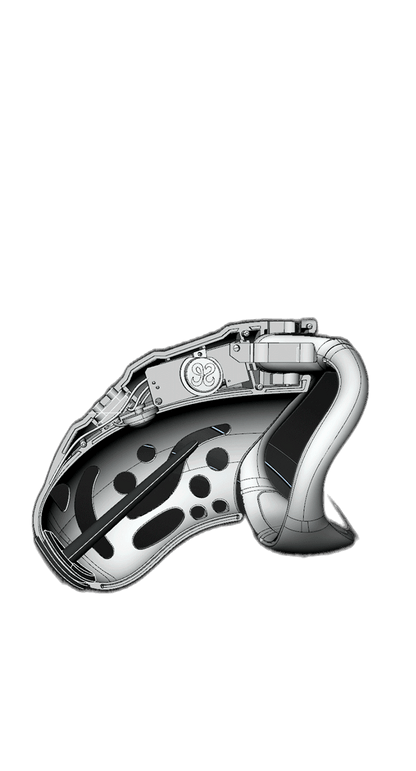 Remote Control Shock Chastity Cage