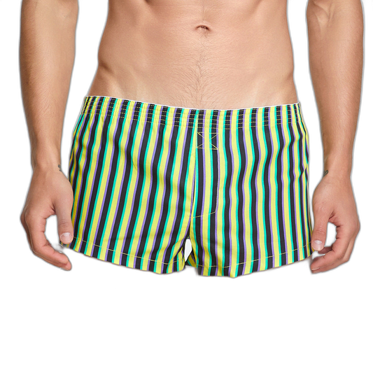 Striped Cotton Shorts