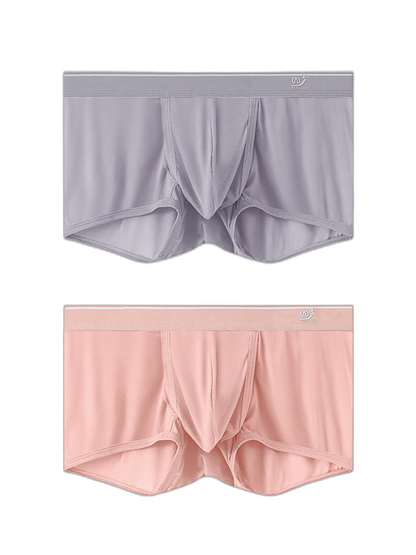 2 Pack Men's Breathable Mesh Trunks with Fly
