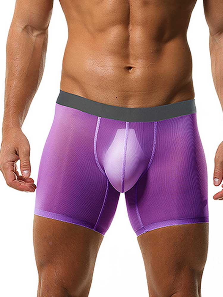 Men's Sheer Stretchy Seamless Anti-Chafing Boxer Briefs