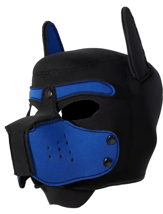 Puppies First Hood Blue