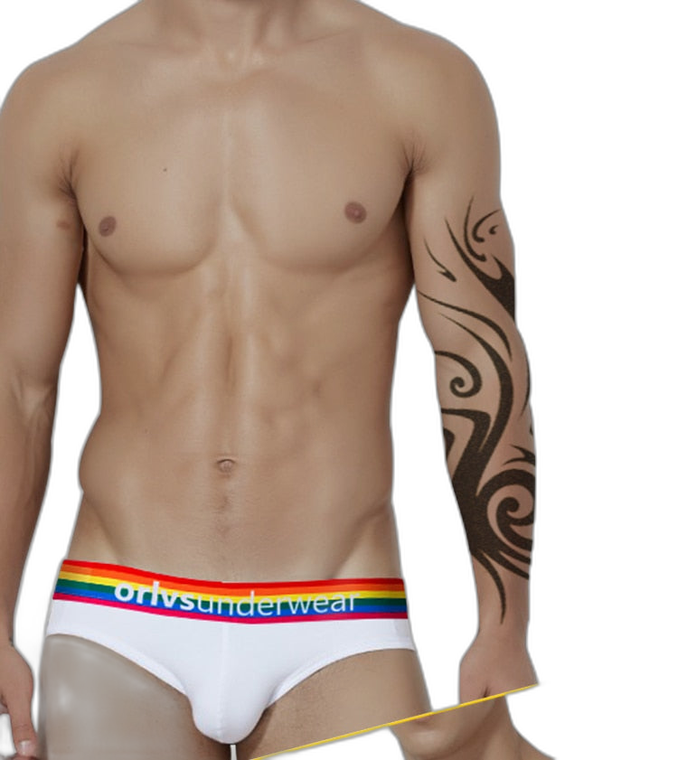 ORLVS Pride Briefs