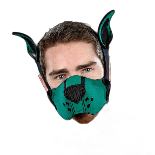 Mr S Leather Neoprene K9 Kit Ears Hunter