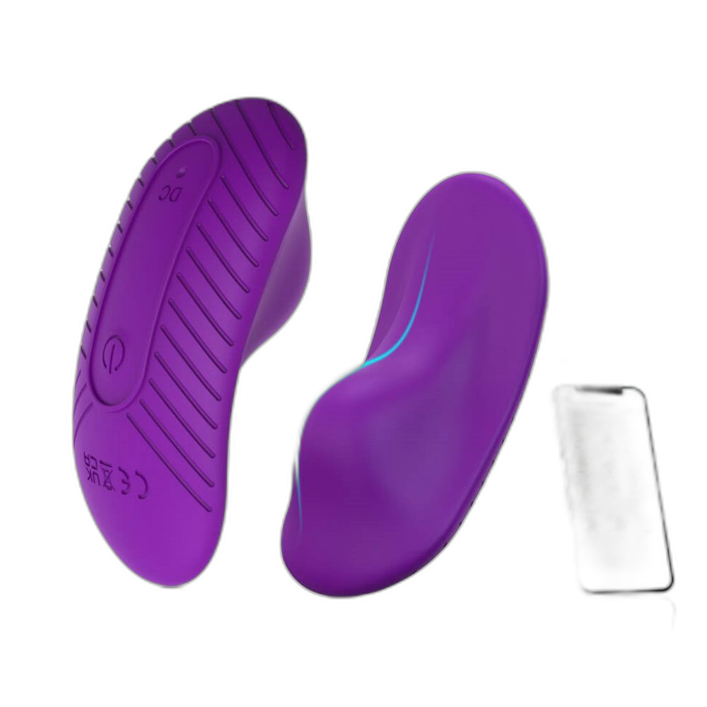 Brynie - Wearable App-Controlled Panty Vibrator
