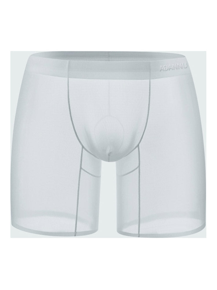 Men's Mesh See Through Low Rise Trunks