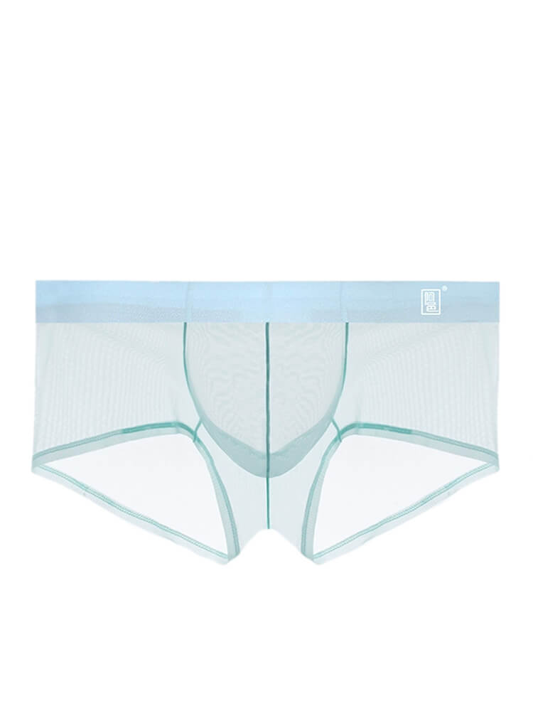 Men's Sexy Mesh U-Convex Pouch Boxer Briefs
