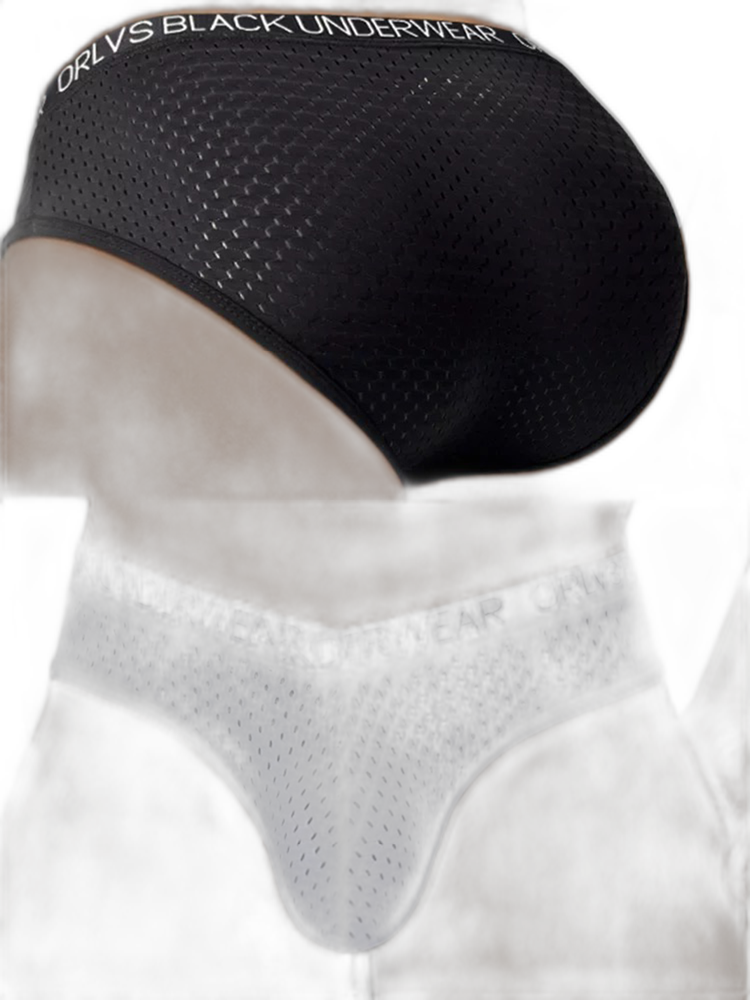 2 Pack Men's Sexy V-shape Waistband Mesh Bikinis