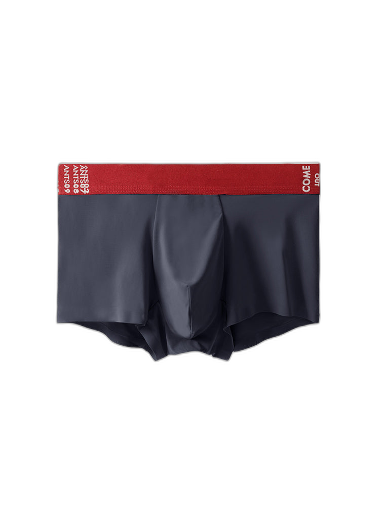 2 Pack Men's Premium Ultra-Thin Seamless Ice Silk Stretch Fit Trunks