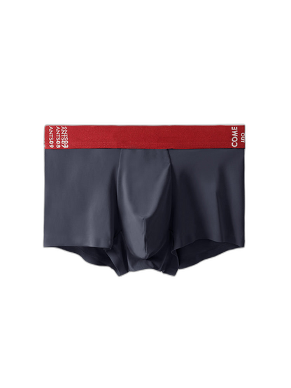 2 Pack Men's Premium Ultra-Thin Seamless Ice Silk Stretch Fit Trunks