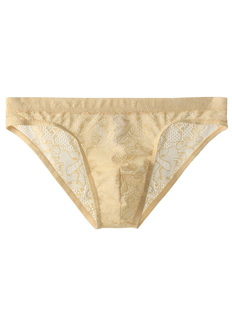 Lace Sheer Briefs