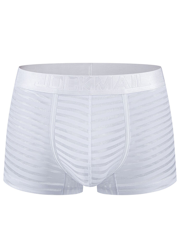 Men's Lightweight Sheer Striped U-Pouch Trunks