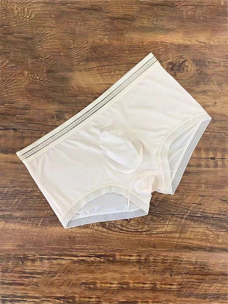 Men's Sexy Lace Thin Low-Rise Elastic Boxer Briefs