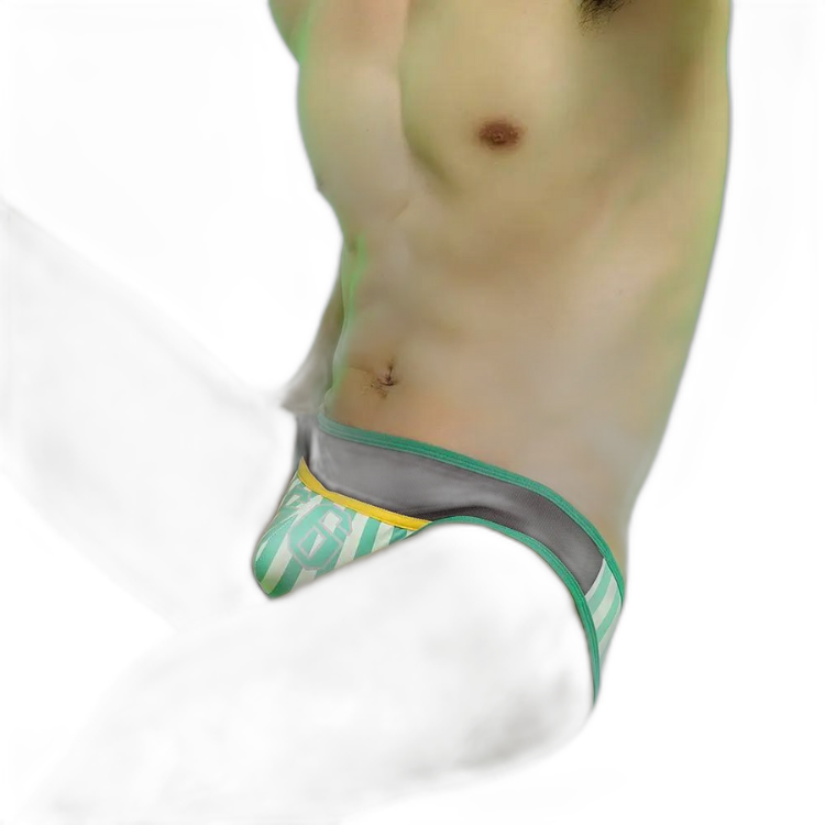 No. 56 Sporty Briefs Success
