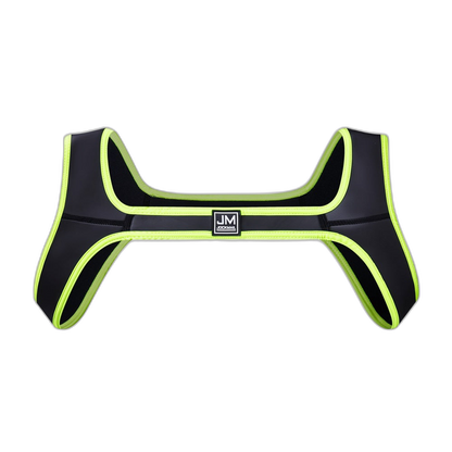 Shoulder Harness