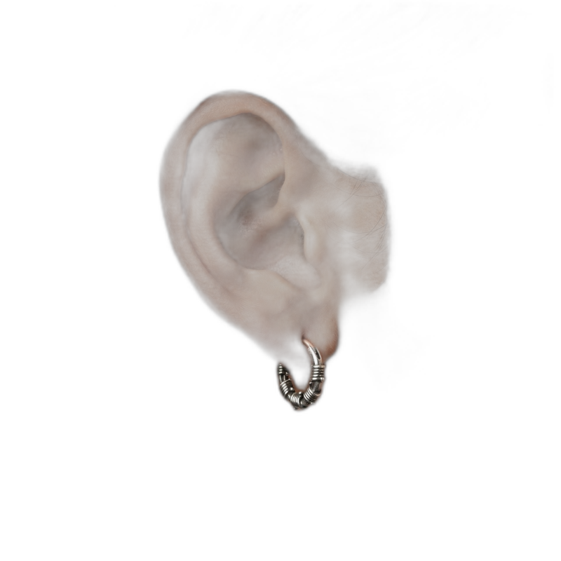 Barb Wire Hoop Earrings